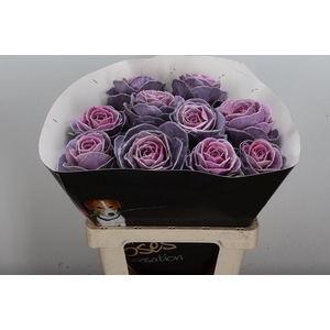 Snijgroen Brass Klb H