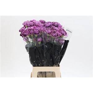 Di St Nobbio Crochet