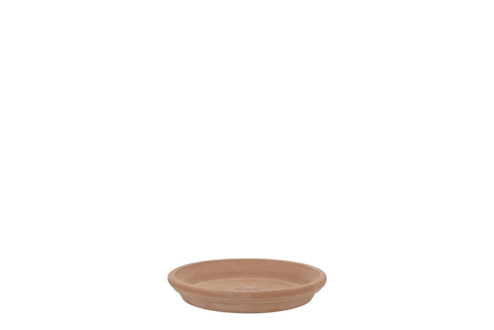 Terracotta Choco Waterdish D11xh2cm