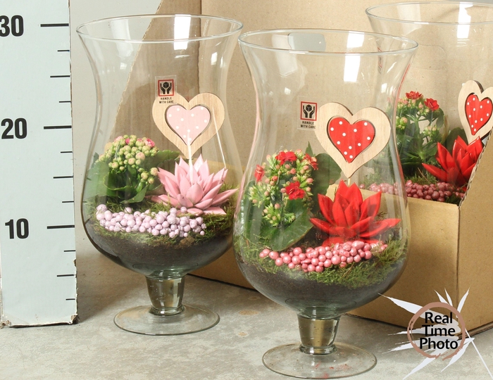 <h4>ARR KAMERPL</h4>