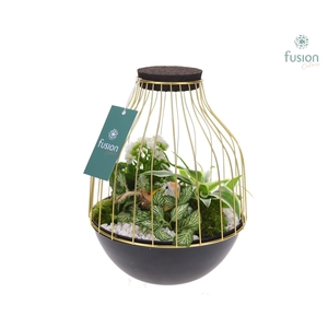 Vogelkooi metaal goudzwart Medium met arrangement