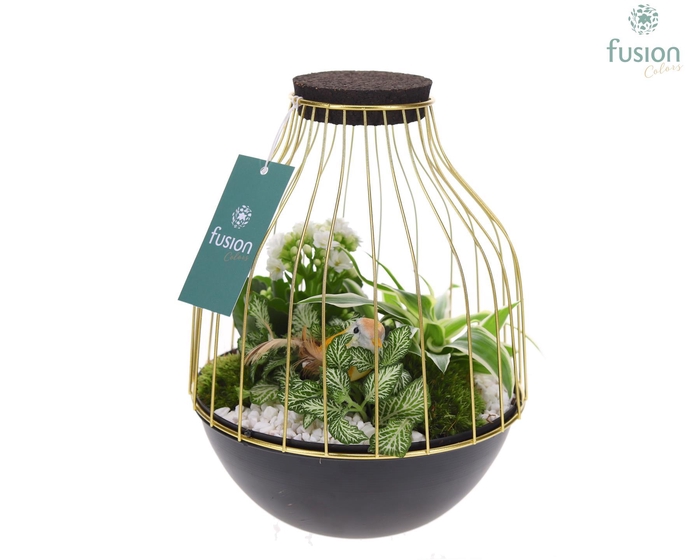 <h4>Vogelkooi metaal goudzwart Medium met arrangement</h4>