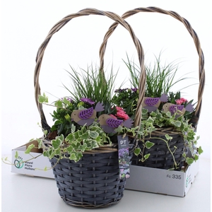ARR TUINPLANTEN