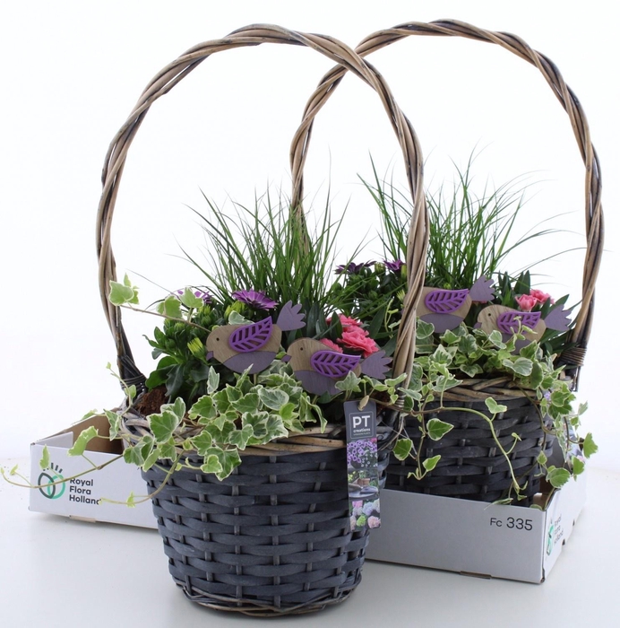 <h4>ARR TUINPLANTEN</h4>
