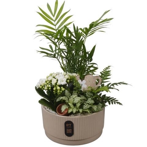 PTIB5120 Arrangement Indoor in keramiek schaal