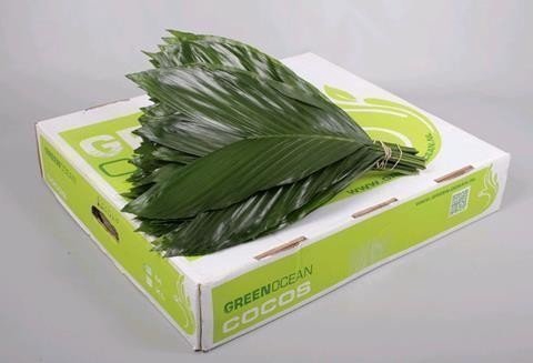 Leaf cocos box medium Green Ocean