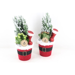arr2 PL - Santa pot x6 - rood/wit