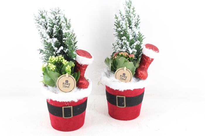 <h4>arr2 PL - Santa pot x6 - rood/wit</h4>