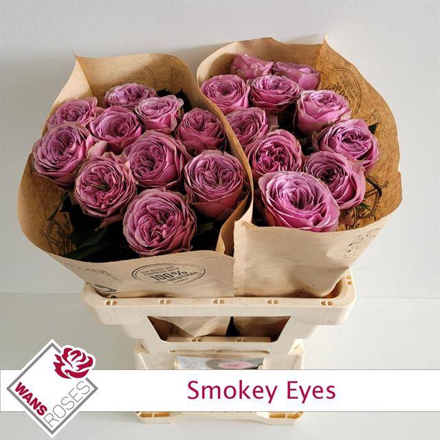 Rosa Garden Smokey Eyes