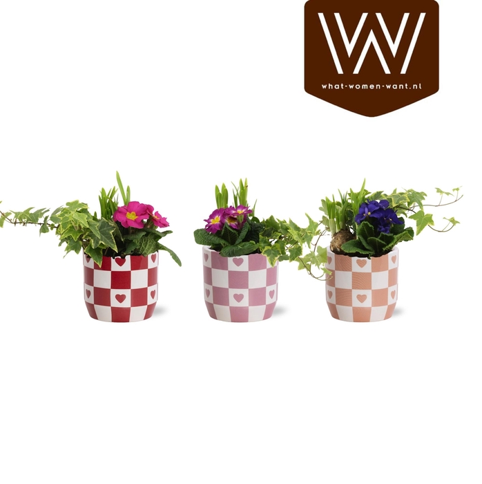 <h4>Collectie 'Sympathetic Moods' Arrangement in Keramiek Rosie</h4>