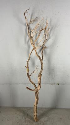 <h4>Manzanita Sandblasted 120cm</h4>