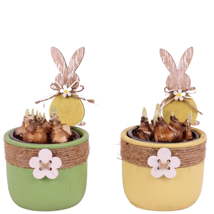 <h4>Easter Arr. Narcis Ceramic Pot Round Rope Flower Ø11cm</h4>