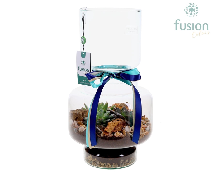 <h4>Green Bottle Lotte Large met Maritiem arrangement</h4>