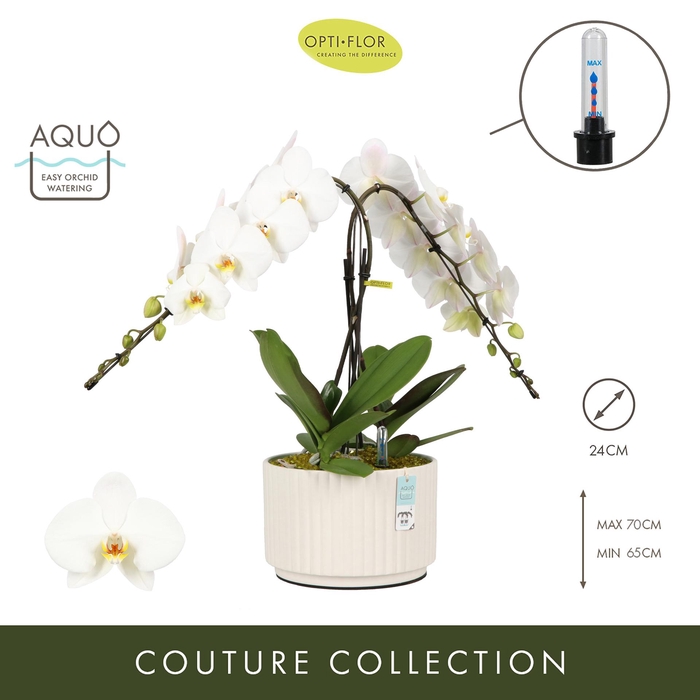 <h4>Arran. Formidablo Niagara Falls Molise White Aquo</h4>