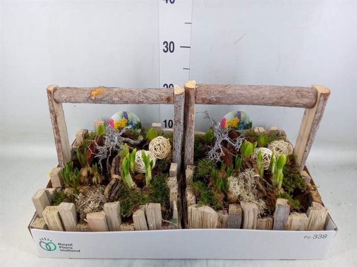 <h4>Arr.   Bol/Knolgewas L%</h4>