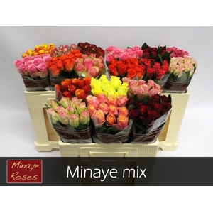 R Gr Mix In Bucket Minaye