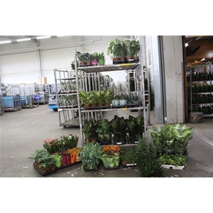 (155x1)** Aanb* *plant Mix Pm 6-17