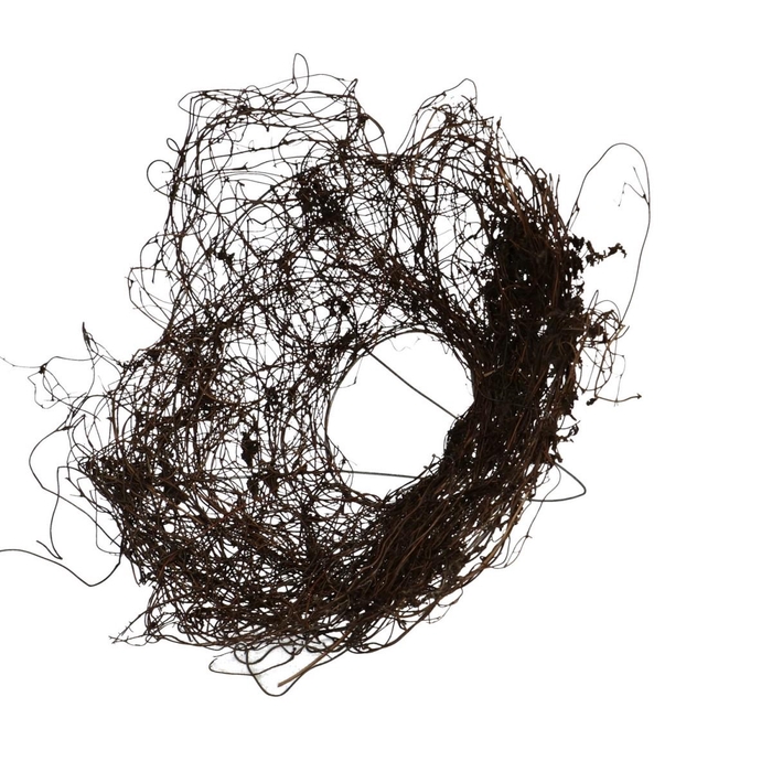 <h4>Salim d20cm</h4>