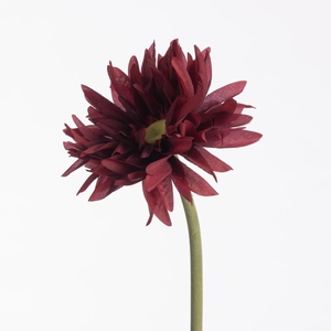 AF Gerbera Spider L55cm Red