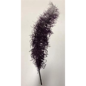 DROOG STRUISVOGELVEREN AUBERGINE