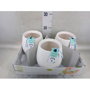 Pot   ...Keramische H%