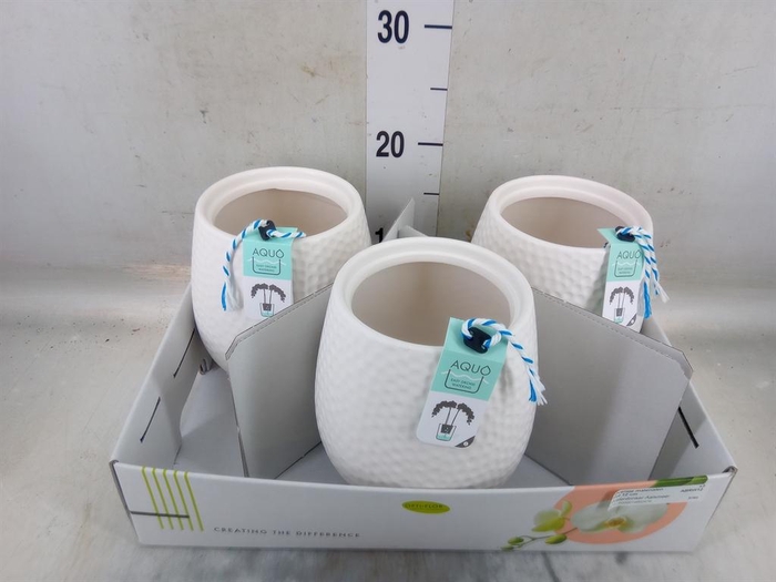 <h4>Pot   ...Keramische H%</h4>