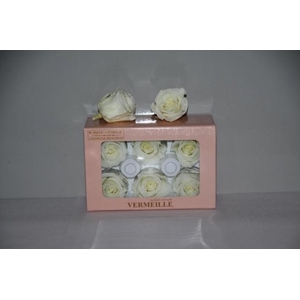 PRESERVED ROSES INES PASTEL YELLOW