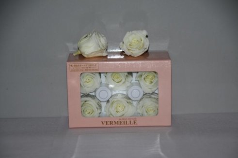 PRESERVED ROSES INES PASTEL YELLOW