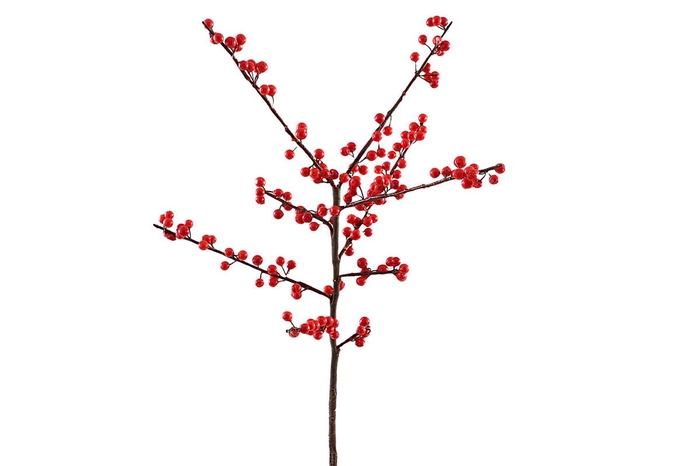 <h4>Ilex Berry Spray Red XM660065RED</h4>
