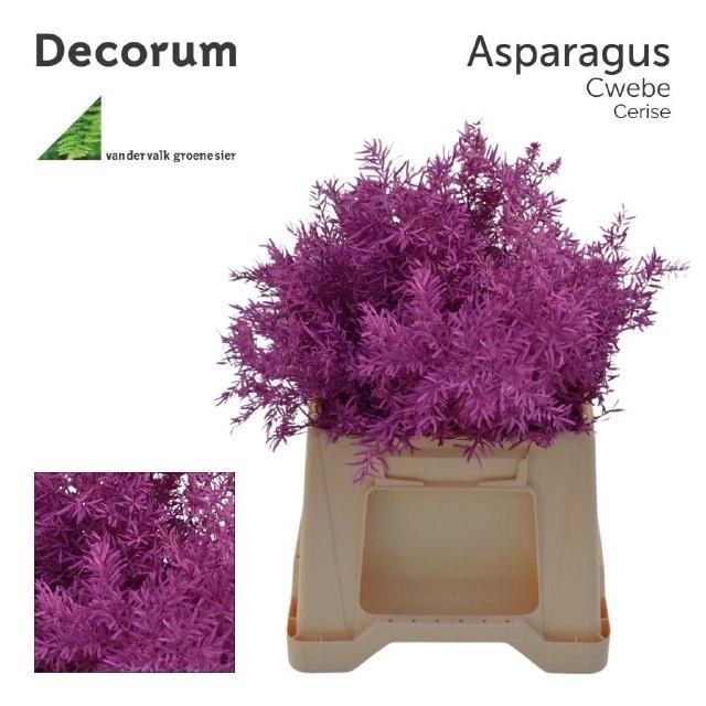 <h4>ASP DE CWEBE KLB  H%</h4>