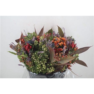 BOUQUET ITALIE MIXED BERRY P BUNCH