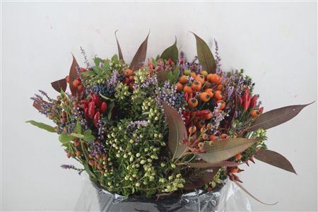 <h4>BOUQUET ITALIE MIXED BERRY P BUNCH</h4>