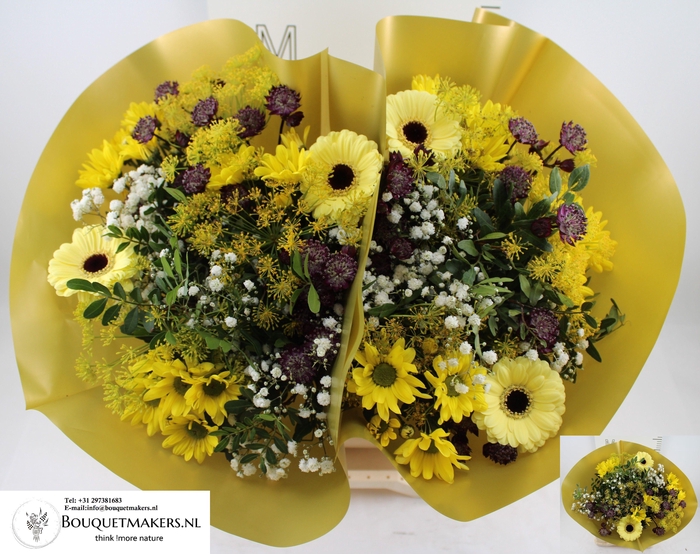 <h4>GEM BOEKET OV</h4>