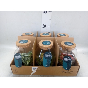 Arr. Planten L%