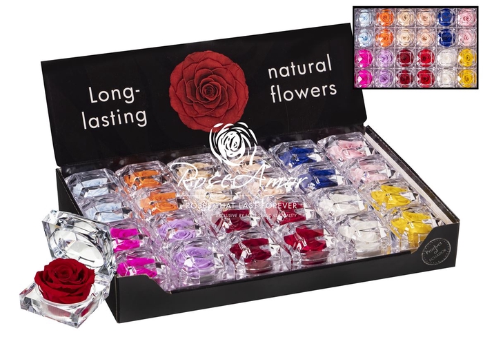 <h4>Display Jewel Assorted</h4>