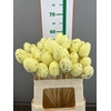 E. EGG YELLOW SPIKKEL 7 CM OP STOK