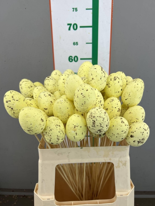 E. EGG YELLOW SPIKKEL 7 CM OP STOK