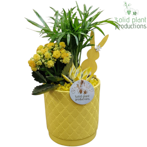 CE001 Amy Yellow Easter