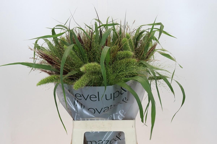 Grasses mix in bucket