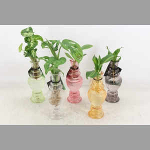 arr3 VDE - Glas venice mix x12