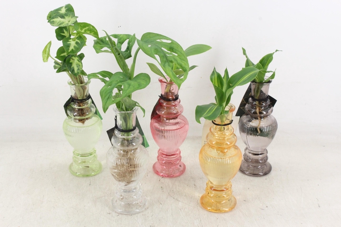 Arr3 Vde - Glas Venice Mix X12