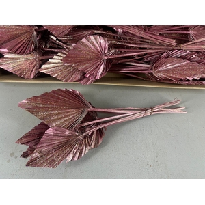 DF Palm Spear Med Ant Pink+Gli