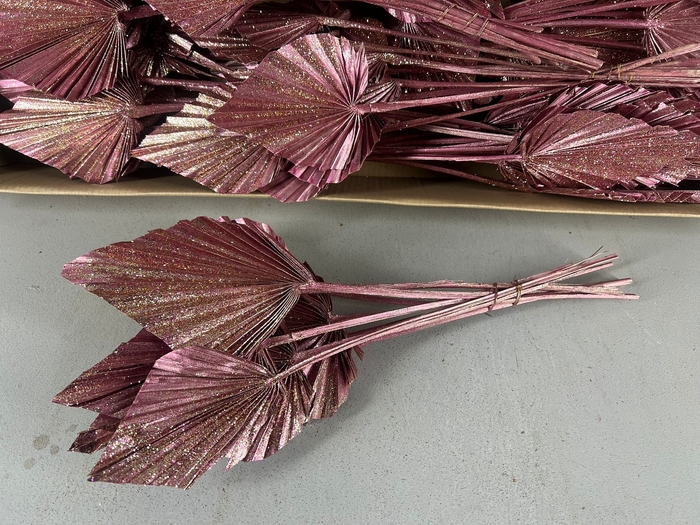 <h4>DF Palm Spear Med Ant Pink+Gli</h4>