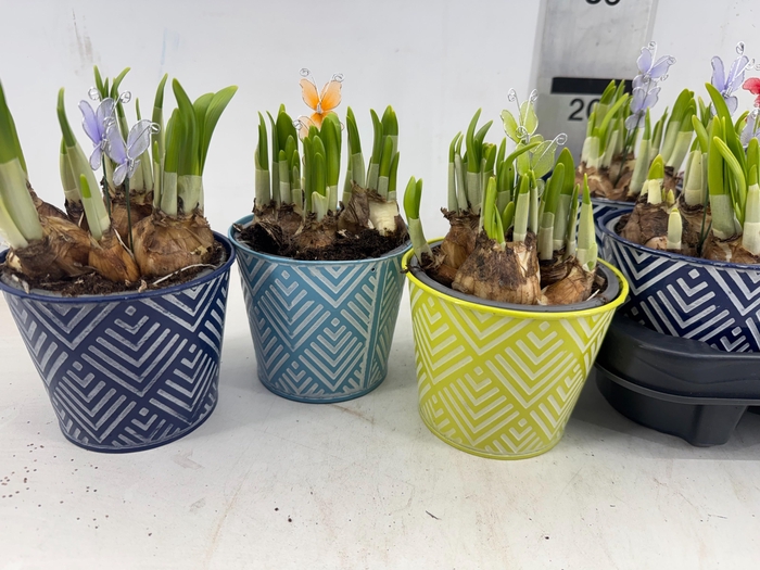 <h4>ARR N TETE A TETE</h4>