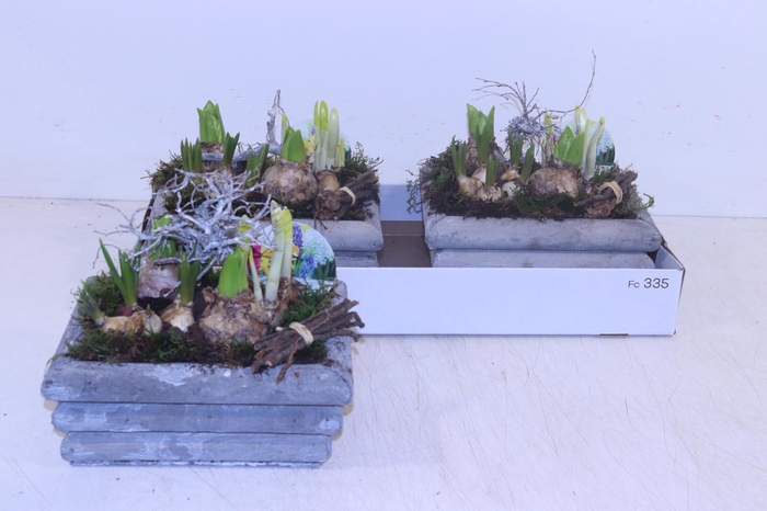 <h4>ARR BOL KNOLGEWAS</h4>