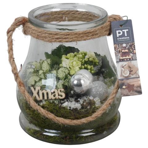 <h4>PTCHW4379 Arrangementen Kerst</h4>