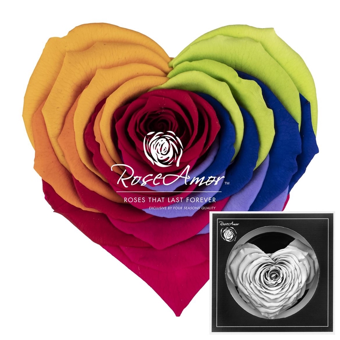 <h4>Corazon Rainbow Red02</h4>