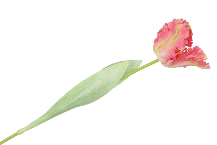 <h4>Silk Tulip Papagayo Pink/yellow 64cm</h4>