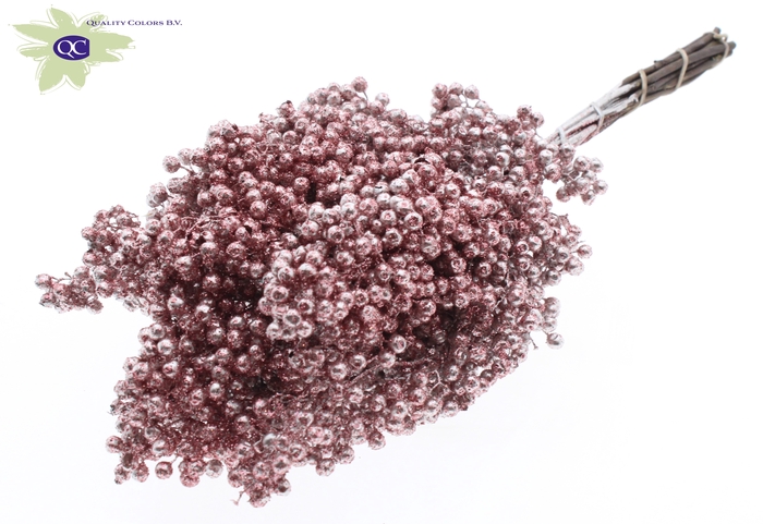 <h4>Pepperberries per bunch in poly champagne + glitte</h4>