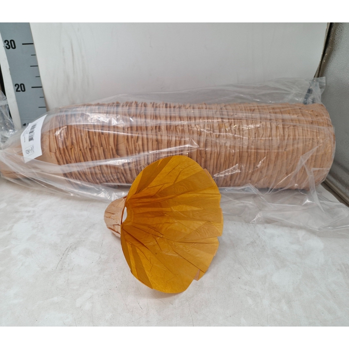 <h4>BOEKETHOUDER H%</h4>